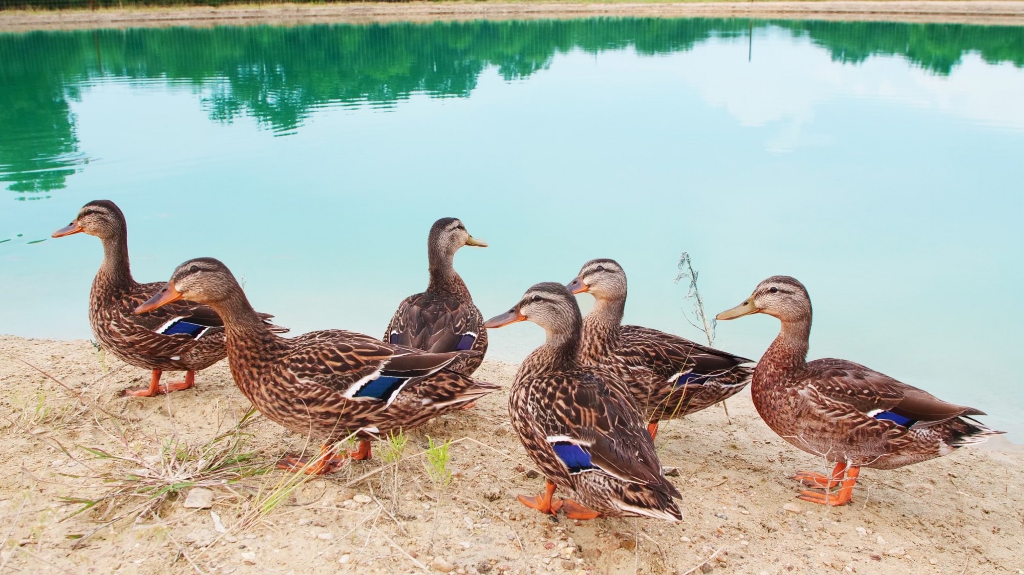 See the newest listings